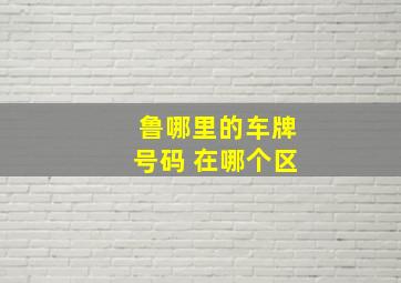 鲁哪里的车牌号码 在哪个区